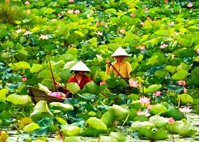 du lich dong thap